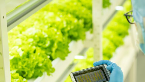 MIRAI株式会社【利益率30%増加】データのリアルタイムな共有で意思決定の迅速化（植物工場）